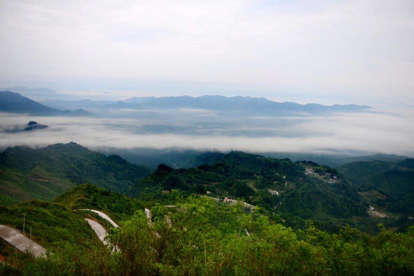带五、六岁娃长途旅行如何精简行李,让旅行轻松又愉快?-专业知识问答网页